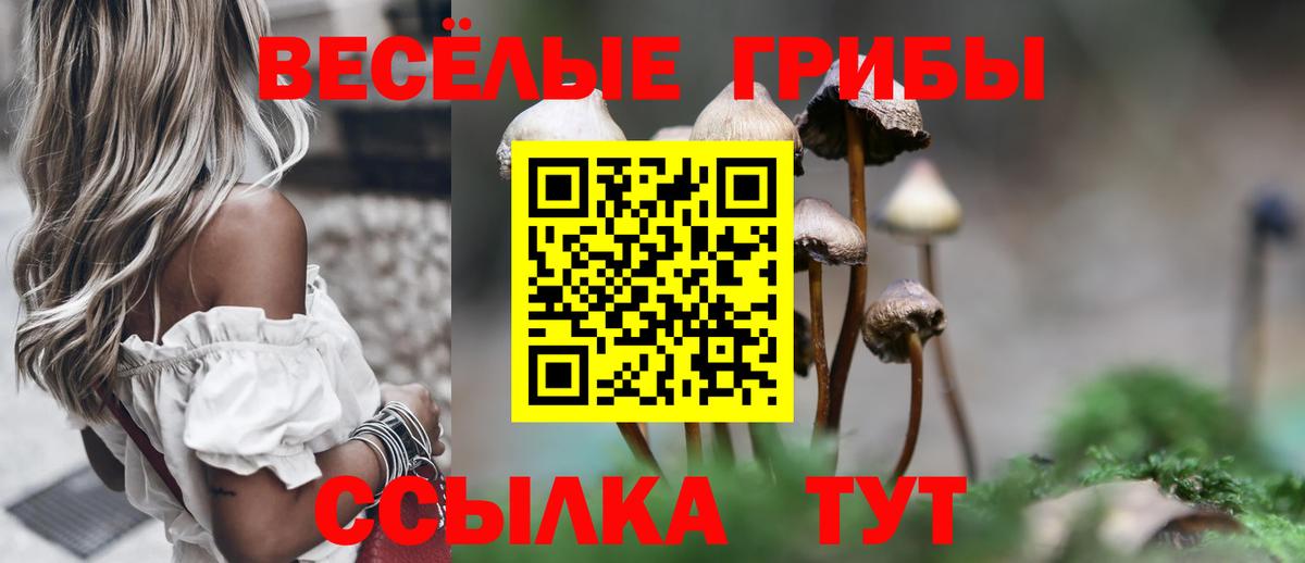 Псилоцибиновые грибы Magic Shrooms Белово